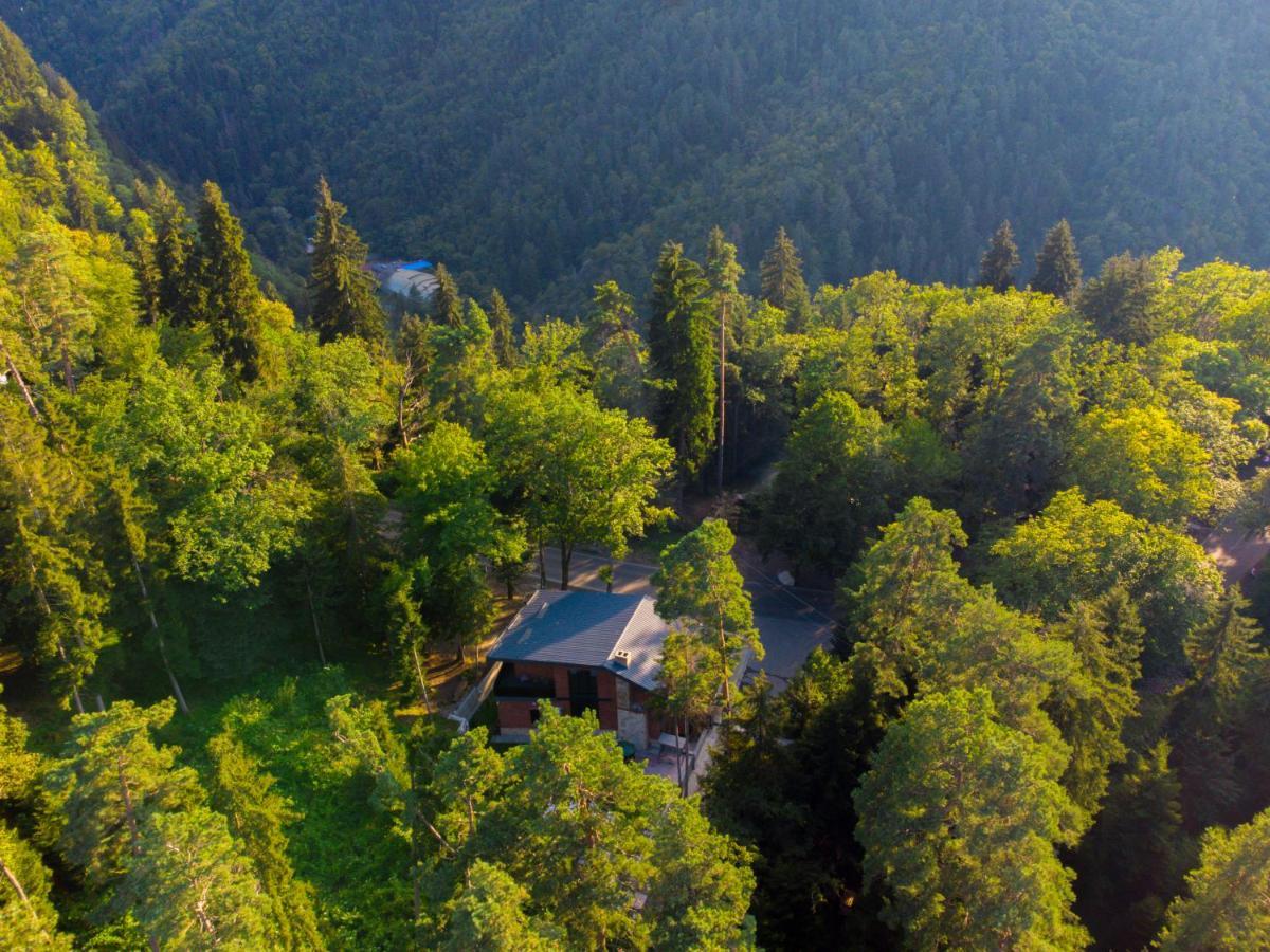 Hotel Evergreen Bordžomi Exteriér fotografie