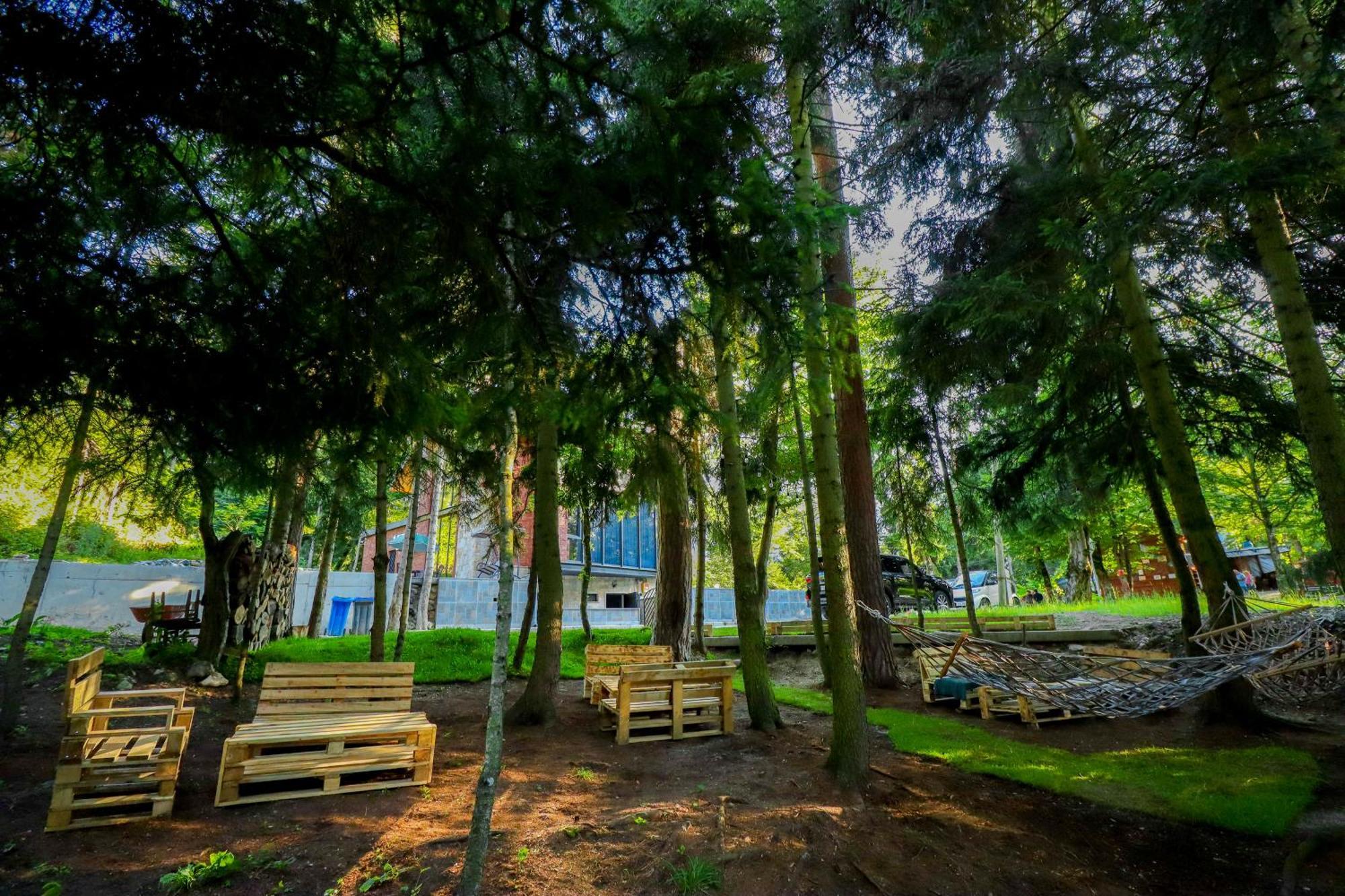 Hotel Evergreen Bordžomi Exteriér fotografie